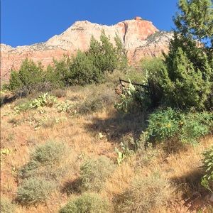 Meet your Posher, Chi